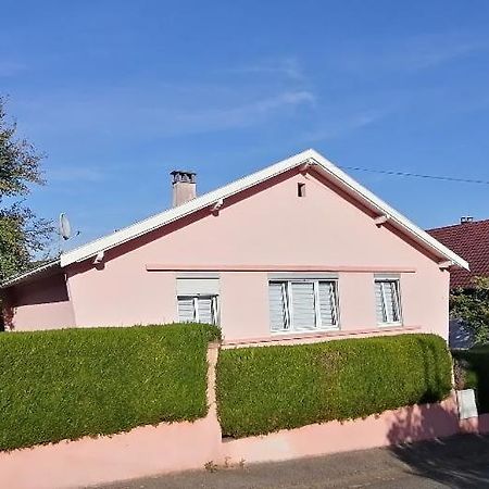 Superbe Maison 3 Chambres 1 Etage Et Sous-Sol, Avec Jardin Et Terrasse Altkirch Ngoại thất bức ảnh