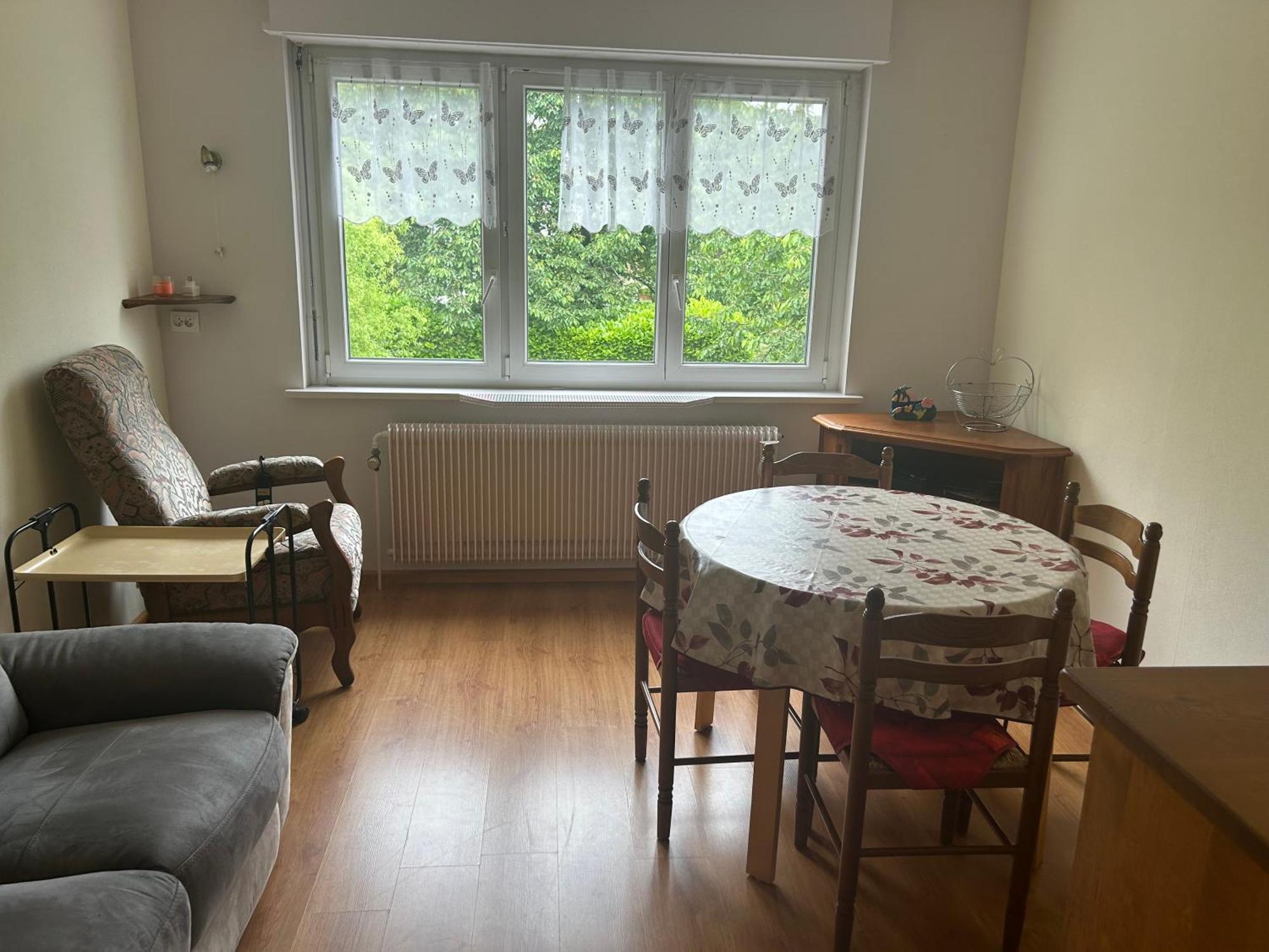 Superbe Maison 3 Chambres 1 Etage Et Sous-Sol, Avec Jardin Et Terrasse Altkirch Ngoại thất bức ảnh